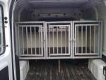 3 transportkennels