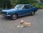 Ford Mustang 1965