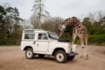 Landrover 88 Series IIa Stationwagon