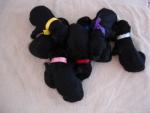 Unieke zwarte konings poedel pups met stamboom