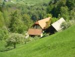 Huis met Land in Slovenie