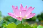mindfulnesstraining