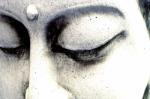 Training MindfulMind - De Kracht van Aandacht