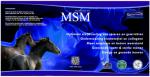 MSM voor paarden met spier of gewrichtsproblemen