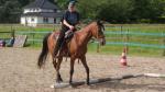 Een betere relatie met je paard? Kan ik je helpen?