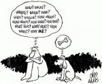 Mindfulnesstraining Rotterdam / Delft