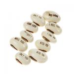 Magische Boon / Magic Bean