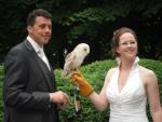 trouwringen vliegen met witte uil