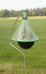 Dazenvanger / dazenvallen Zonder dazen in uw tuin!