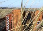 Snuffelcursus Trekharmonica