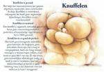 Energetische knuffel sessie (voor dames)