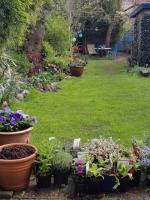 Vierdaagseslaapplaatsen (evt hele woning)