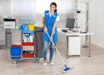 schoonmaak diensten