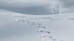Last minute wintersport