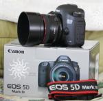 Canon EOS 5D Mark III with EF 24-105mm IS lens