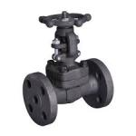 Steam Valves Suppliers in Kolkata